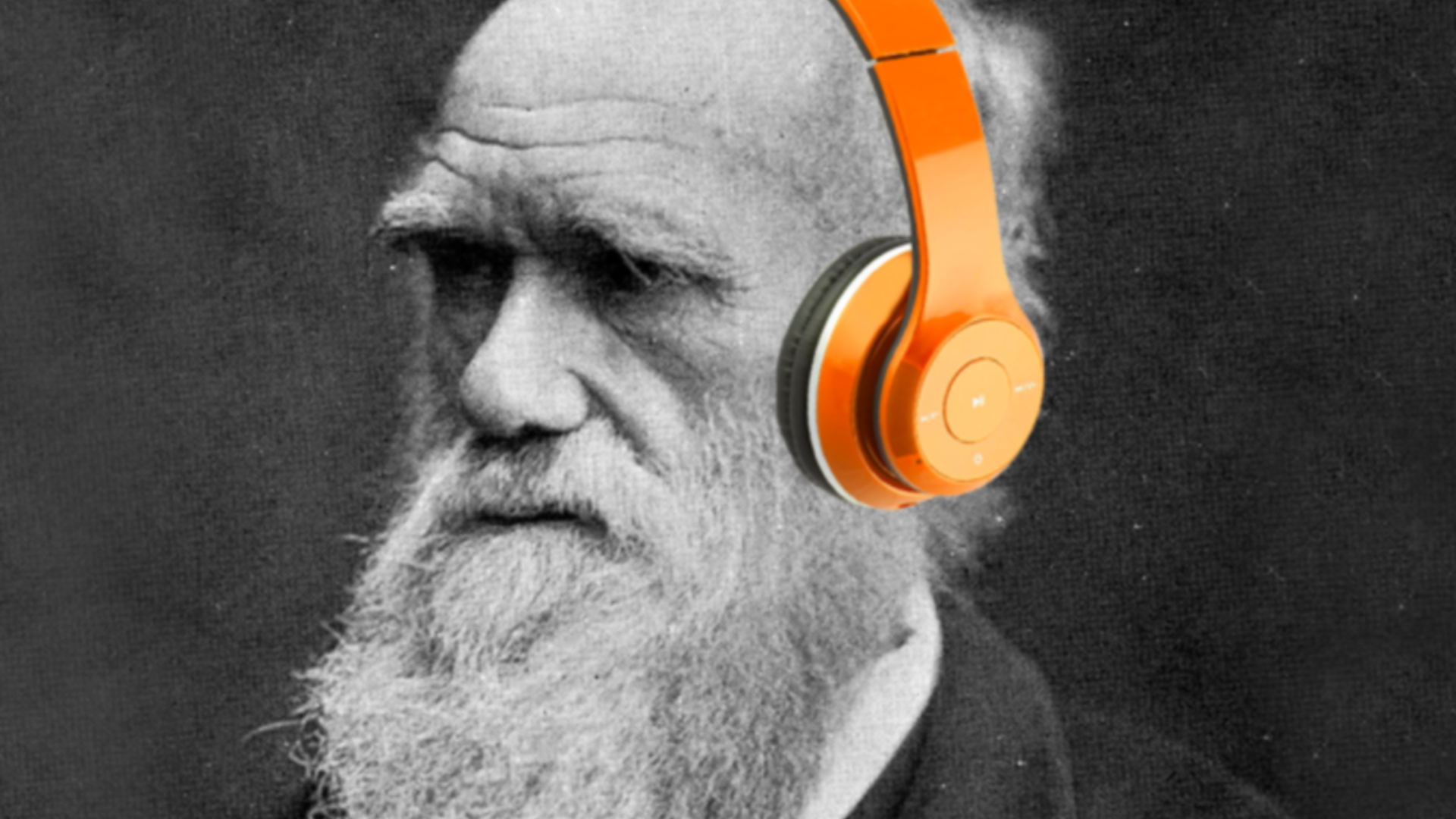 O que disrupção e Charles Darwin têm em comum? 