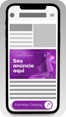 Formato Display